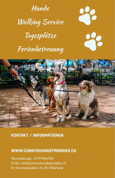 Dogwalking und Hundebetreuung 