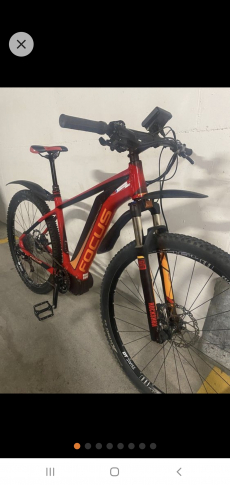 E-Bike Focus Jarifa Pro R29