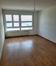 Frisch renovierte 4,5-Zimmer-Wohnung mit toller Aussicht