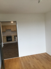 grösstenteils neu renovierte 2,5-Zimmerwohnung