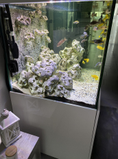 Schönes grosses Aquarium zu verkaufen