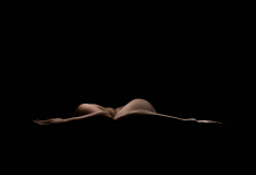 Bodyscapes Fotoshooting - Körperformen kunstvoll in Szene gesetzt