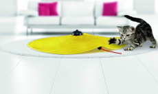 Elektronisches Spielzeug für Katze Katzen Indoor Zuhause Maus TV