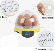 Mini Eierbrüter 7 Eier Geflügelbrüter Maschine Incubator Ei