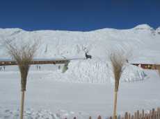 Skiferien im März und beim Chalet Grilladen geniessen