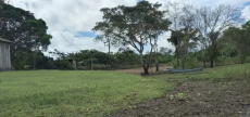 Brasilien 50 Ha grosses Tiefpreis-Grundstück bei Careiro Castanho