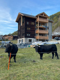 3 1/2 Ferienwohnung zur Dauermiete (Wallis / Saastal /Saas-Grund)