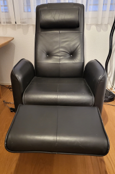 Relax / TV - Sessel aus Leder (Elektrisch verstellbar) 250.00