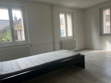 WG (Wohngemeinschaftszimmer) möbliert in Wohlen