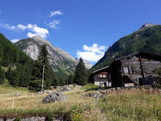 Fasten - Auszeit - Natur mit Tibetanischer Cranial Therapie