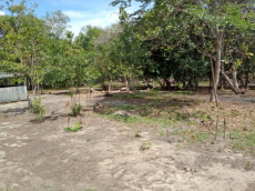 Brasilien 80 Ha Tiefpreis - Grundstück mit Rohstoffen Region Mana