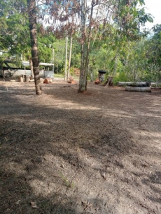 Brasilien 80 Ha Tiefpreis - Grundstück mit Rohstoffen Region Mana