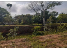 Brasilien 85.9 HA Rinderfarm Grundstück in der Nähe von Careiro A