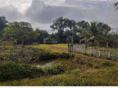 Brasilien 85.9 HA Rinderfarm Grundstück in der Nähe von Careiro A