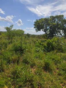 Brasilien 1'000 Ha Tiefpreis - Grundstück mit Rohstoffen in der N