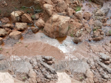 Brasilien 1'000 Ha Tiefpreis - Grundstück mit Rohstoffen in der N