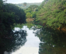 Brasilien 1'000 Ha Tiefpreis - Grundstück mit Rohstoffen in der N