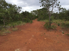 Brasilien 1'000 Ha Tiefpreis - Grundstück mit Rohstoffen in der N