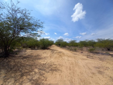 Brasilien riesengrosses 950 Ha Grundstück Region Arcoverde - PE