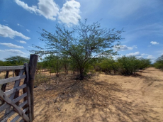 Brasilien riesengrosses 950 Ha Grundstück Region Arcoverde - PE