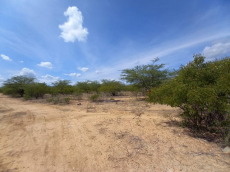 Brasilien riesengrosses 950 Ha Grundstück Region Arcoverde - PE