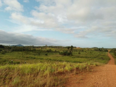 Brasilien riesengrosse 420 Ha Rinderzucht Region - Baruana Roraim