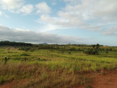 Brasilien riesengrosse 420 Ha Rinderzucht Region - Baruana Roraim