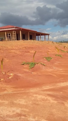 Brasilien riesengrosse 420 Ha Rinderzucht Region - Baruana Roraim