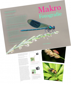 Fachbücher Makrofotografie (2 x A4-Vierfarbendruck), Neuausgabe
