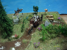 Dioramas