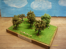 Dioramas