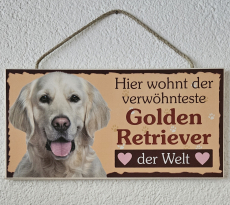 Hunde Holzschild Golden Retriever 