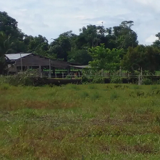  Brasilien riesengrosses 5'150 Ha Farm in der Nähe von Presidente