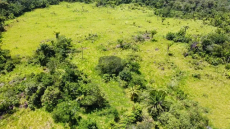 Brasilien 1'000 Ha Tiefpreis - Grundstück mit Rohstoffen in der N