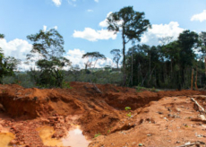 Brasilien 1'000 Ha Tiefpreis - Grundstück mit Rohstoffen in der N