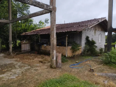 Brasilien 2'449 Ha Früchte – Farm Region Manaus - AM
