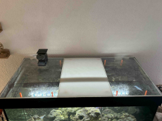 Aquarium ca 400 Liter komplett inkl. Fischbestand