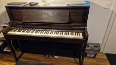 Verkaufe mein neuwertiges Piano Roland LX-706