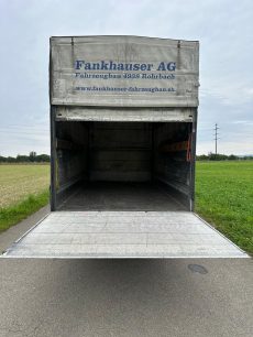 FANKHAUSER FA-1001