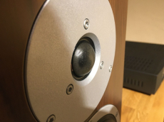 Dynaudio Focus 200 XD - walnuss Aktiver Regallautsprecher