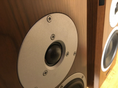 Dynaudio Focus 200 XD - walnuss Aktiver Regallautsprecher