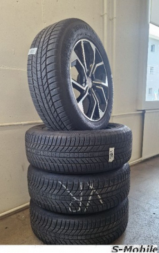 Audi Q5/SQ5 FY Gamaparts Winterräder 18