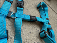 Hundegeschirr hellblau