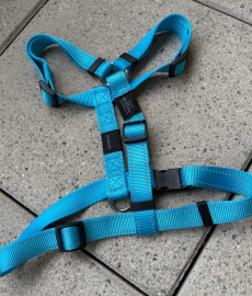 Hundegeschirr hellblau