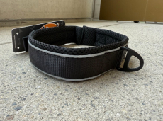 Neues Hundehalsband - schwarz