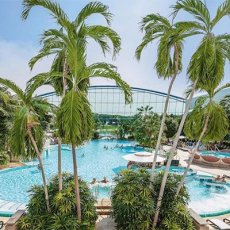 SWISS PRIVATE FLYING 20 % RABATT AUF FLUGTICKETS 