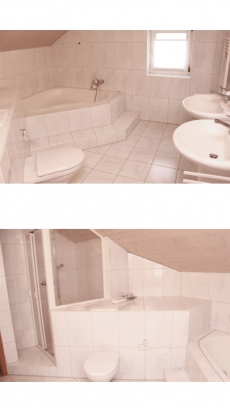 Mehrfamilienhaus mit Oekonomiehaus zum ausbauen etc. 