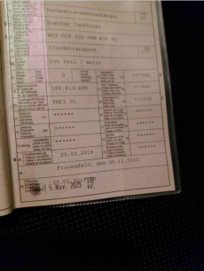 Pferdetransporter Bücker Careliner s