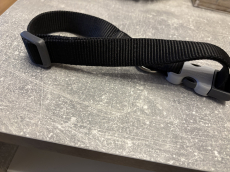 Hundehalsband RedDingo L in schwarz