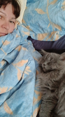 BLH Manliich baby katzen 